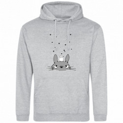 Худі полегшені