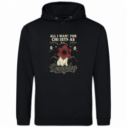 Худі полегшені