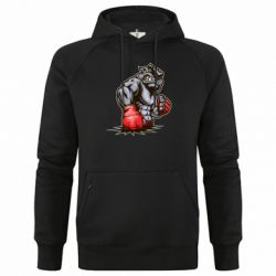 Худі чоловічі преміум