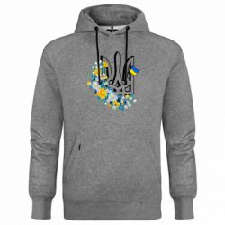 Худі чоловічі преміум