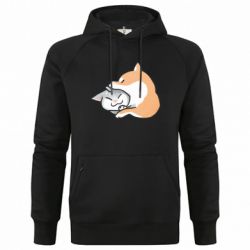 Худі чоловічі преміум