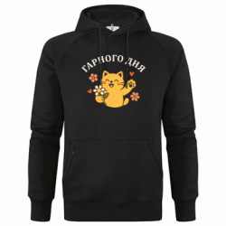 Худі чоловічі преміум