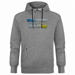 Худі чоловічі преміум