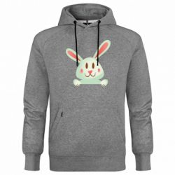 Худі чоловічі преміум