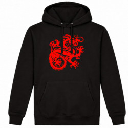 Худі утеплене Дракон