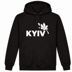 Худі утеплене Київ каштановий