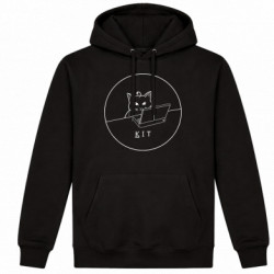 Худі утеплене Кіт айті