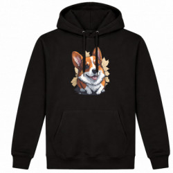 Худі утеплене Королівська коргі