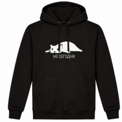 Худі утеплене Кот і напис Не сьогодні
