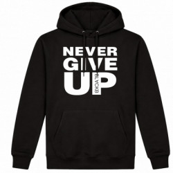 Худі утеплене Never give up 1