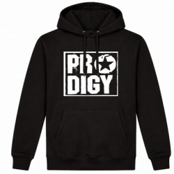 Худі утеплене Prodigy Star