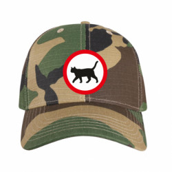 Кепки камуфляжні