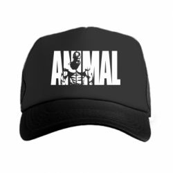 Кепки-тракеры