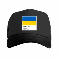 Кепки-тракеры - FATLINE