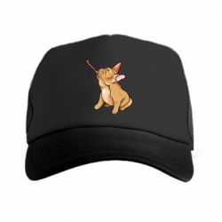 Кепки-тракеры - FATLINE