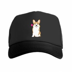 Кепки-тракеры премиум