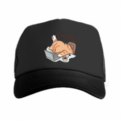 Кепки-тракеры премиум