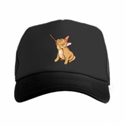 Кепки-тракеры премиум