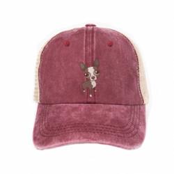 Кепка-тракер тай-дай Чихуахуа - FATLINE Кепка-тракер тай-дай Чихуахуа