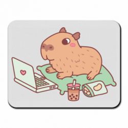 Килимки для миші