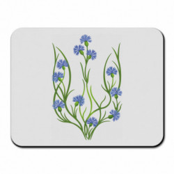 Коврики для мыши