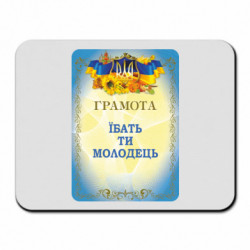 Килимки для миші