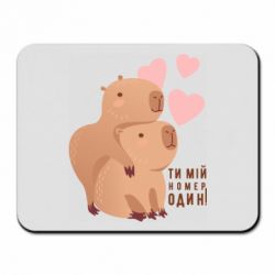 Килимки для миші