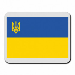 Килимки для миші