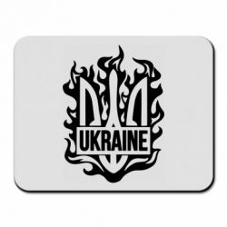 Килимки для миші