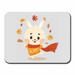 Килимки для миші