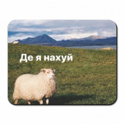 Килимки для миші
