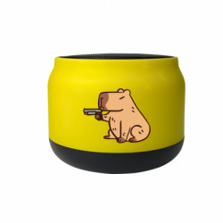 Колонка беспроводная Bells