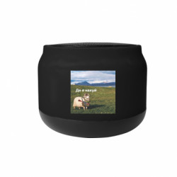 Колонка беспроводная Bells