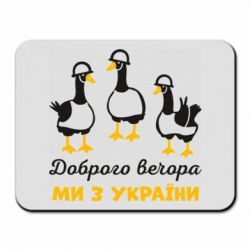 Килимки для миші