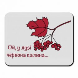 Килимки для миші