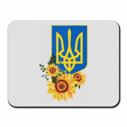 Килимки для миші
