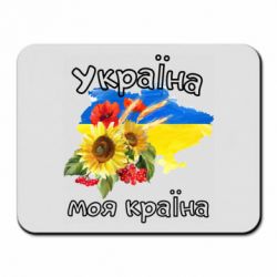 Коврики для мыши