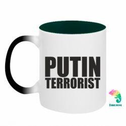 Кружки-хамелеоны двухцветные