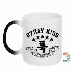 Кружка-хамелеон Stray Kids College - FATLINE Кружка-хамелеон Stray Kids College