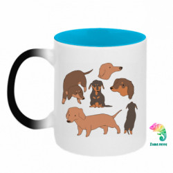 Кружки-хамелеоны двухцветные