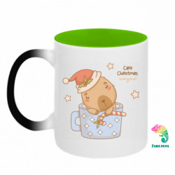 Кружки-хамелеоны двухцветные