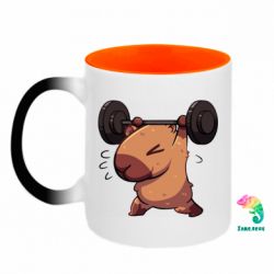 Кружки-хамелеоны двухцветные