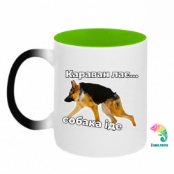 Кружки-хамелеоны двухцветные