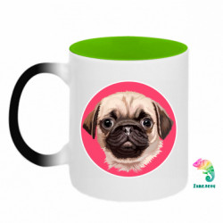 Кружки-хамелеоны двухцветные