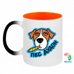 Кружки-хамелеоны двухцветные