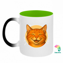 Кружки-хамелеоны двухцветные