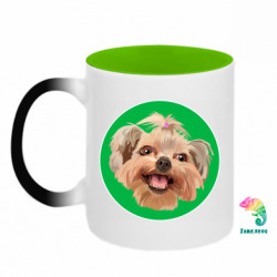 Кружки-хамелеоны двухцветные