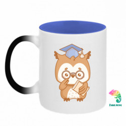 Кружки-хамелеоны двухцветные