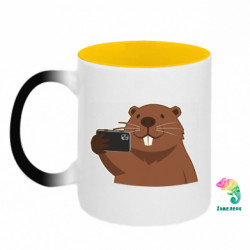 Кружки-хамелеоны двухцветные