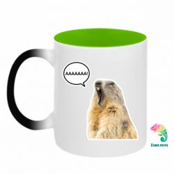 Кружки-хамелеоны двухцветные